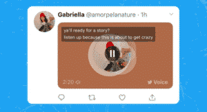 Twitter is rolling out automatic captions for videos