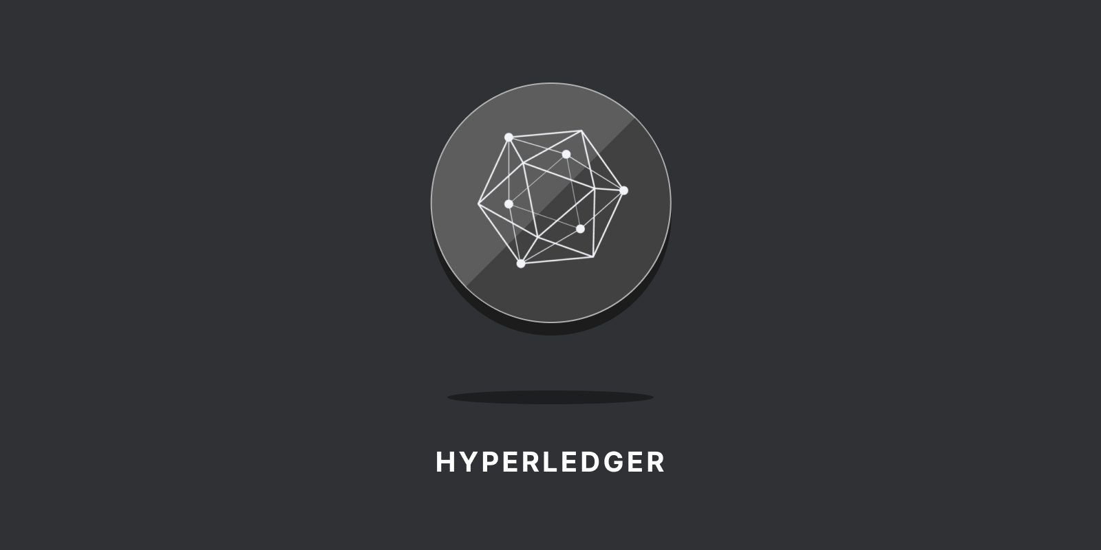 hire hyperledger developers