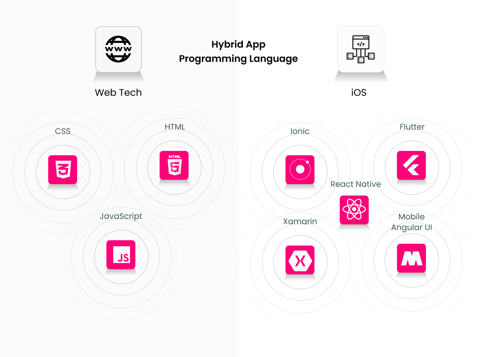 Hybrid App Programming Language
